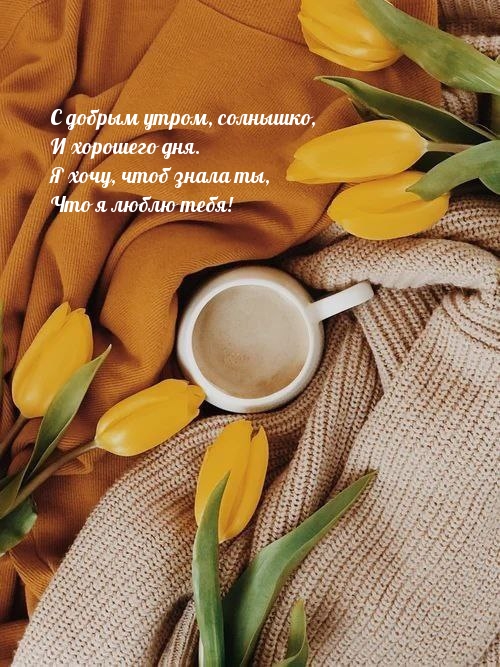 С добрым утром, солнышко, и хорошего дня.