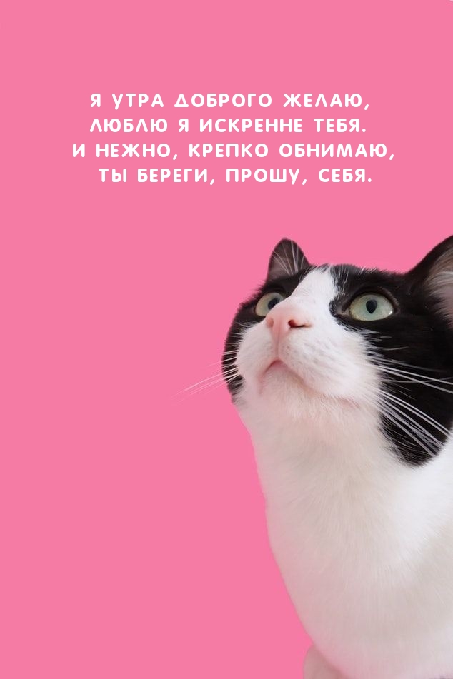 Я утра доброго желаю, люблю я искренне тебя.
