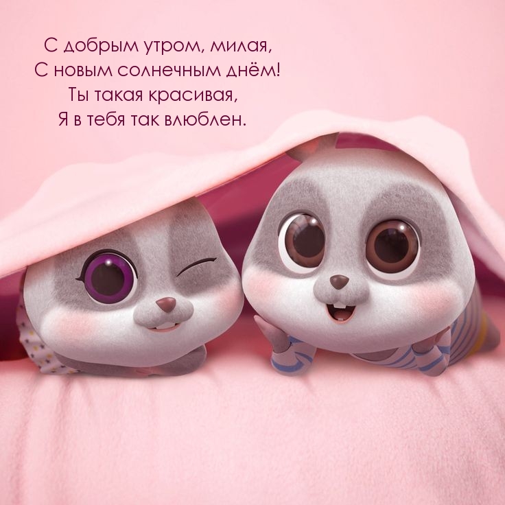 С добрым утром, милая, с новым солнечным днём!
