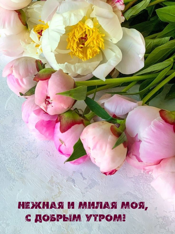 Нежная и милая моя, с добрым утром!
