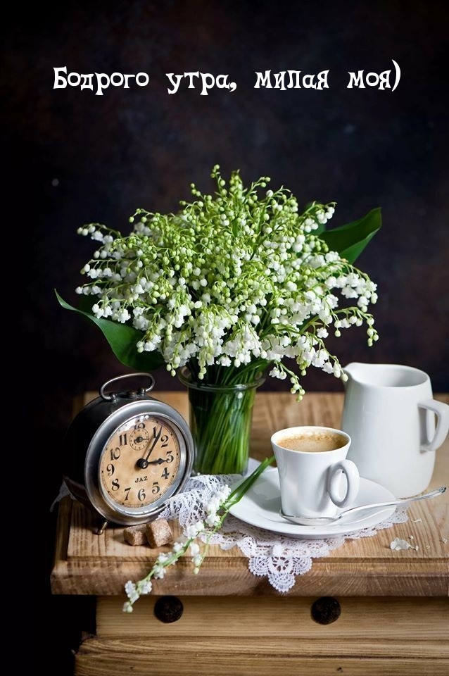 Бодрого утра, милая моя)