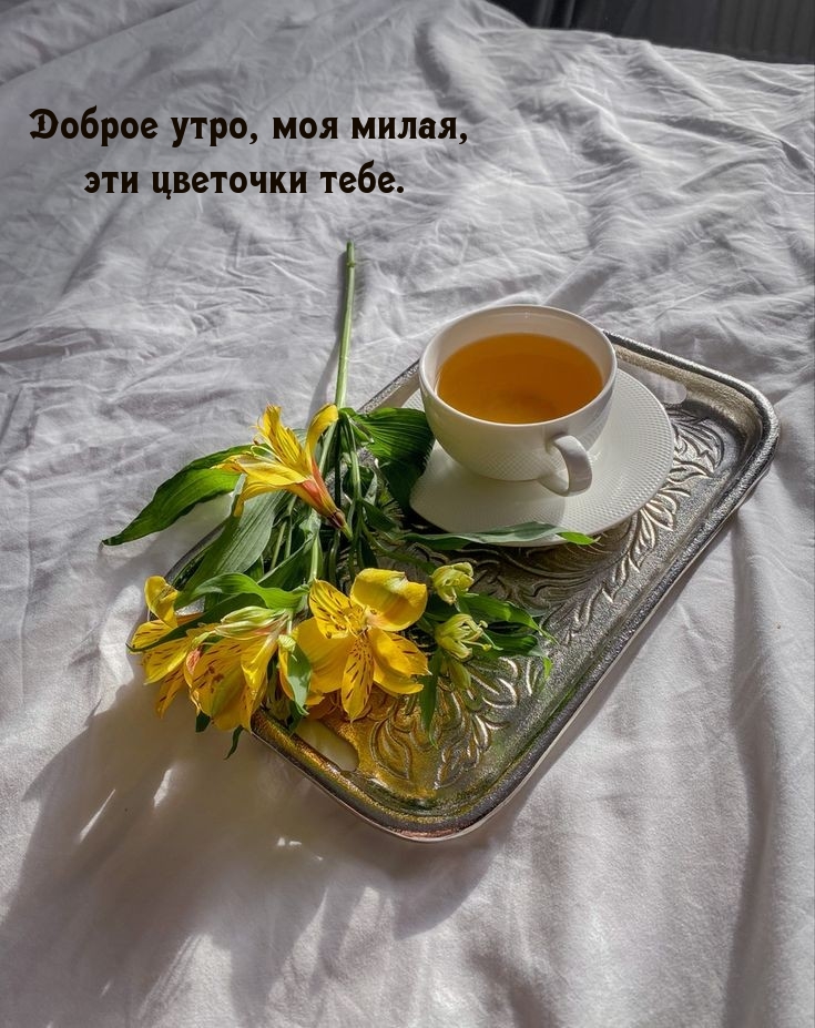 Доброе утро, моя милая, эти цветочки тебе.