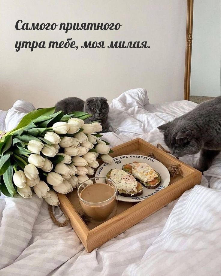 Самого приятного утра тебе, моя милая.
