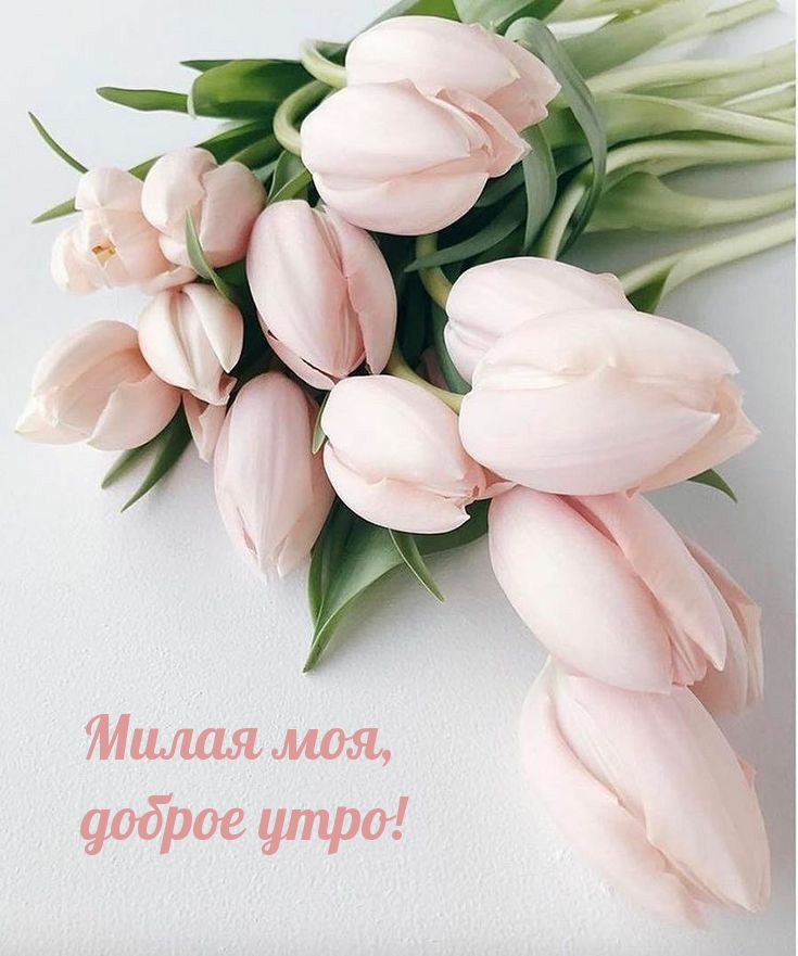 Милая моя, доброе утро!