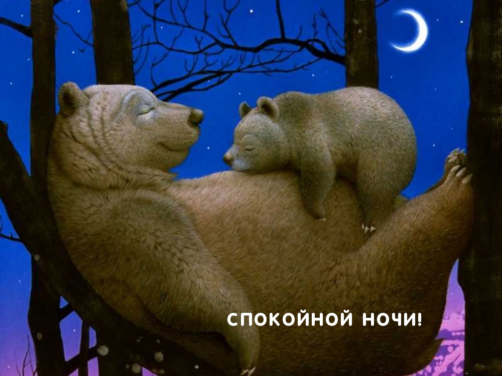 СПОКОЙНОЙ НОЧИ!