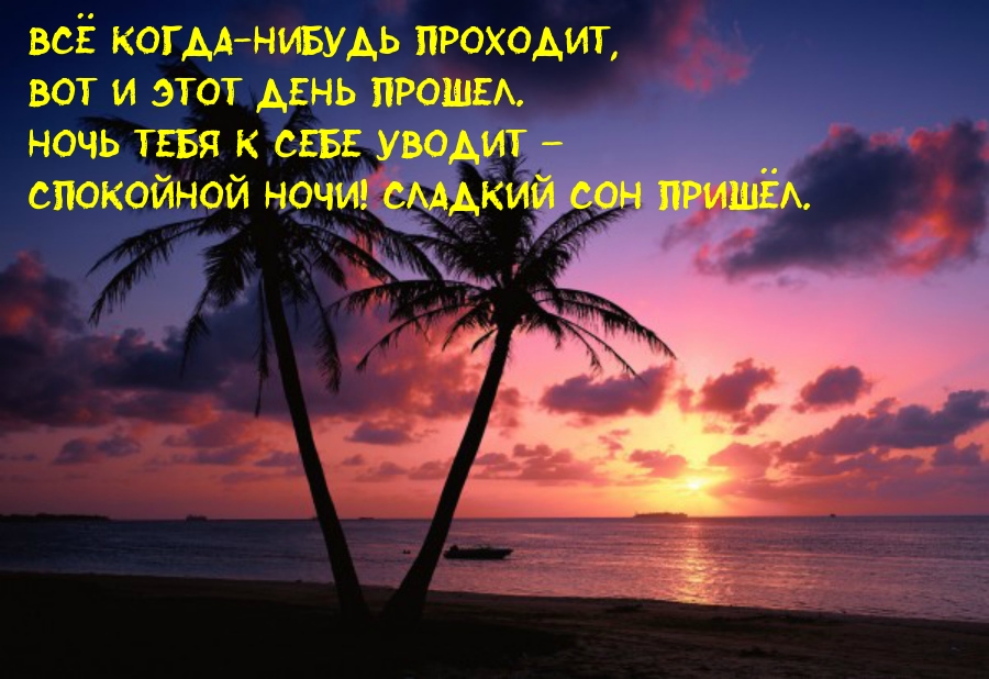 Спокойной ночи! Сладкий сон пришёл