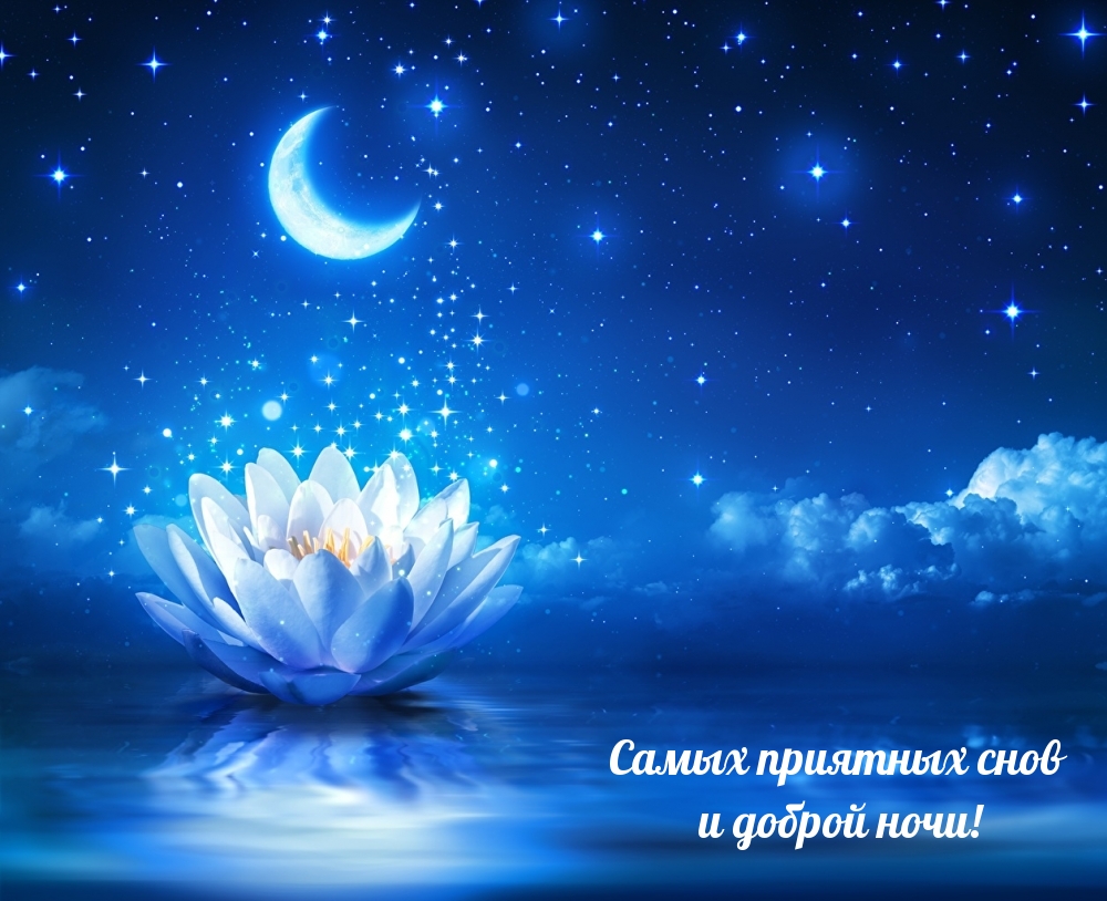 Самых приятных снов и доброй ночи!