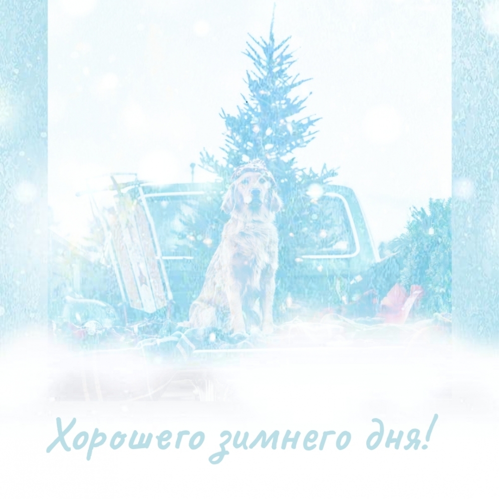 Хорошего зимнего дня!