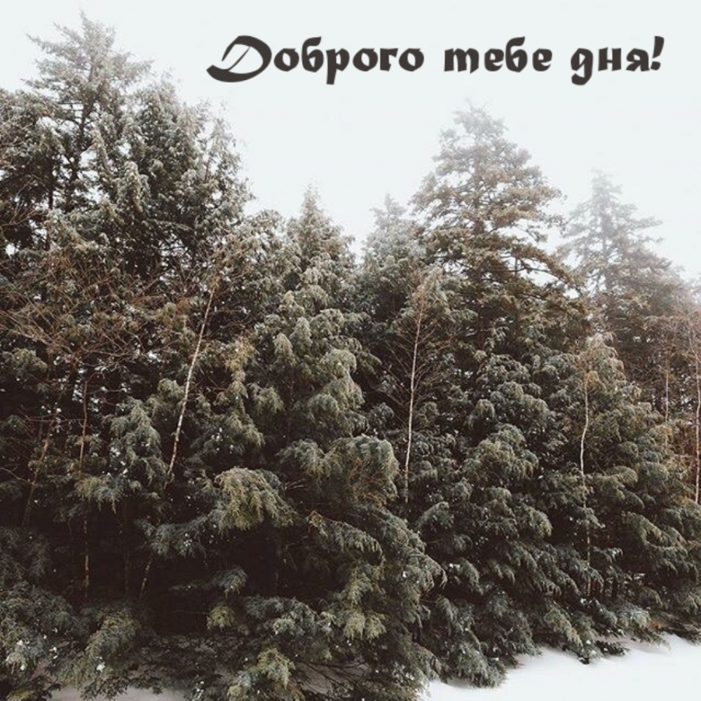 Доброго тебе дня!