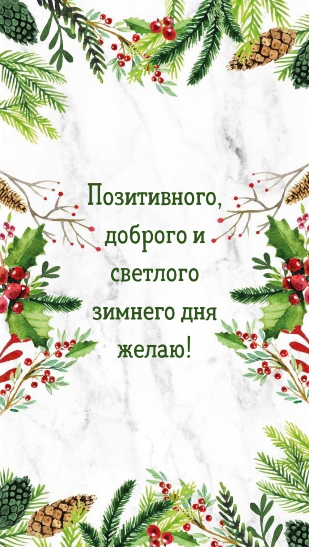 Позитивного, доброго и светлого зимнего дня желаю!