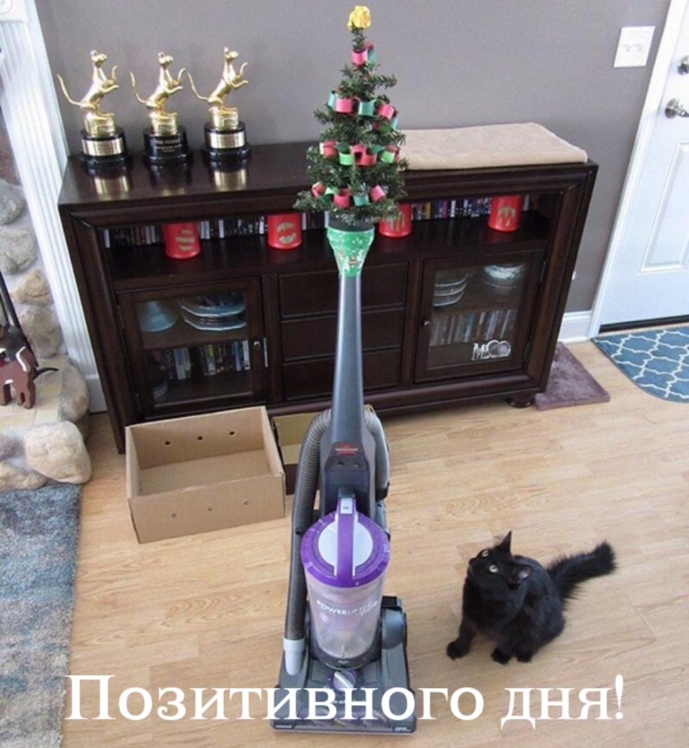 Позитивного дня!