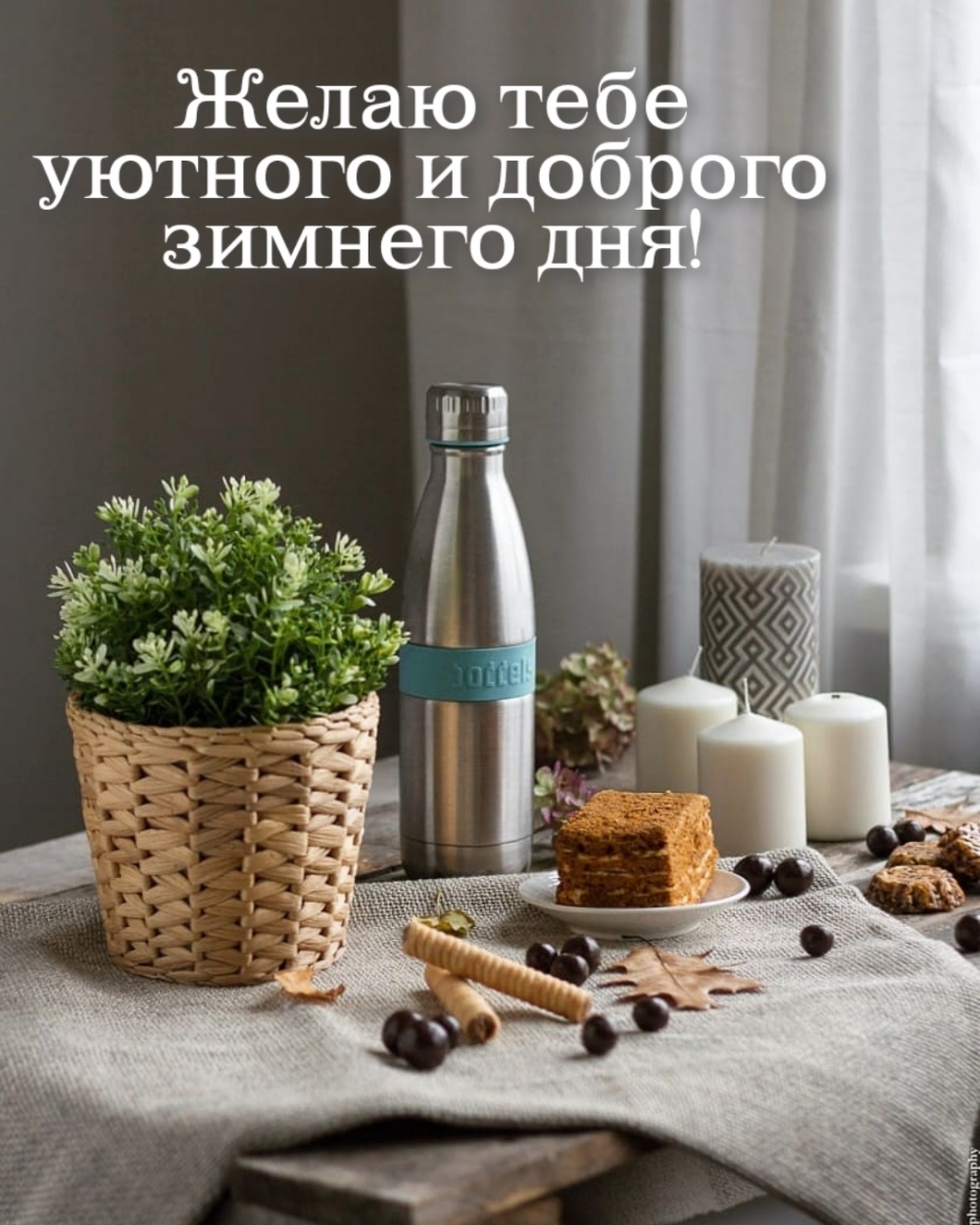 Желаю тебе уютного и доброго зимнего дня!