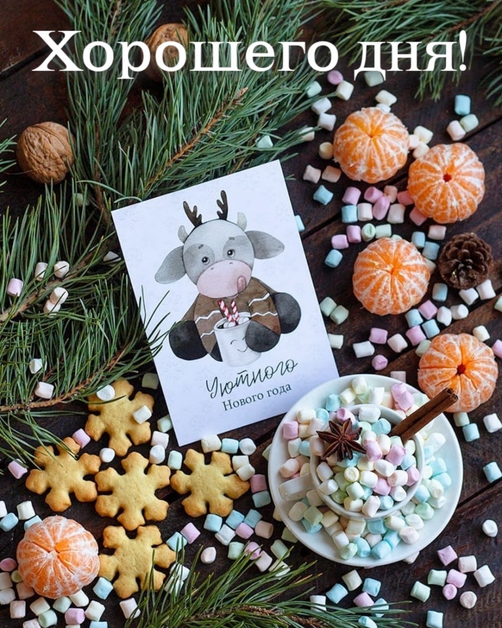 Хорошего дня!