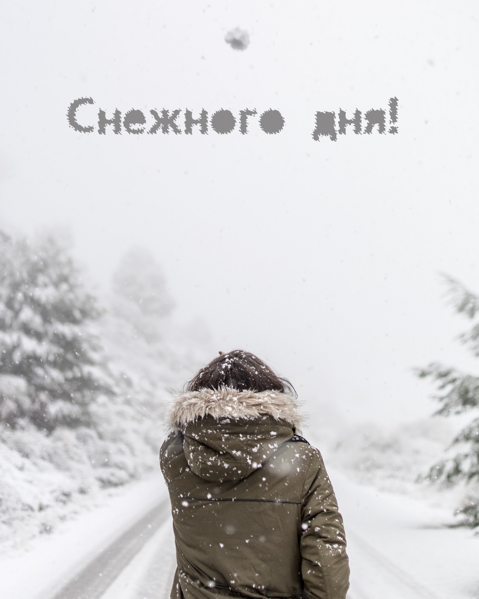 Снежного дня!