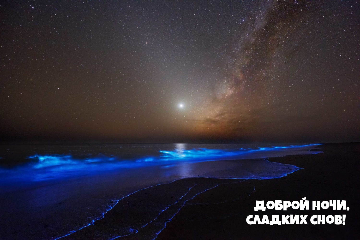 Доброй ночи, сладких снов!
