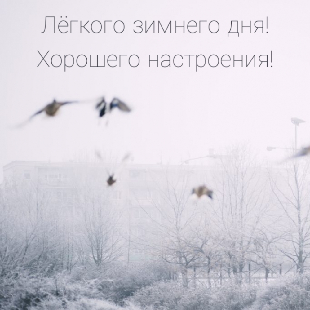 Лёгкого зимнего дня! Хорошего настроения!