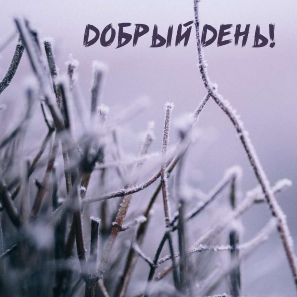 Добрый день!