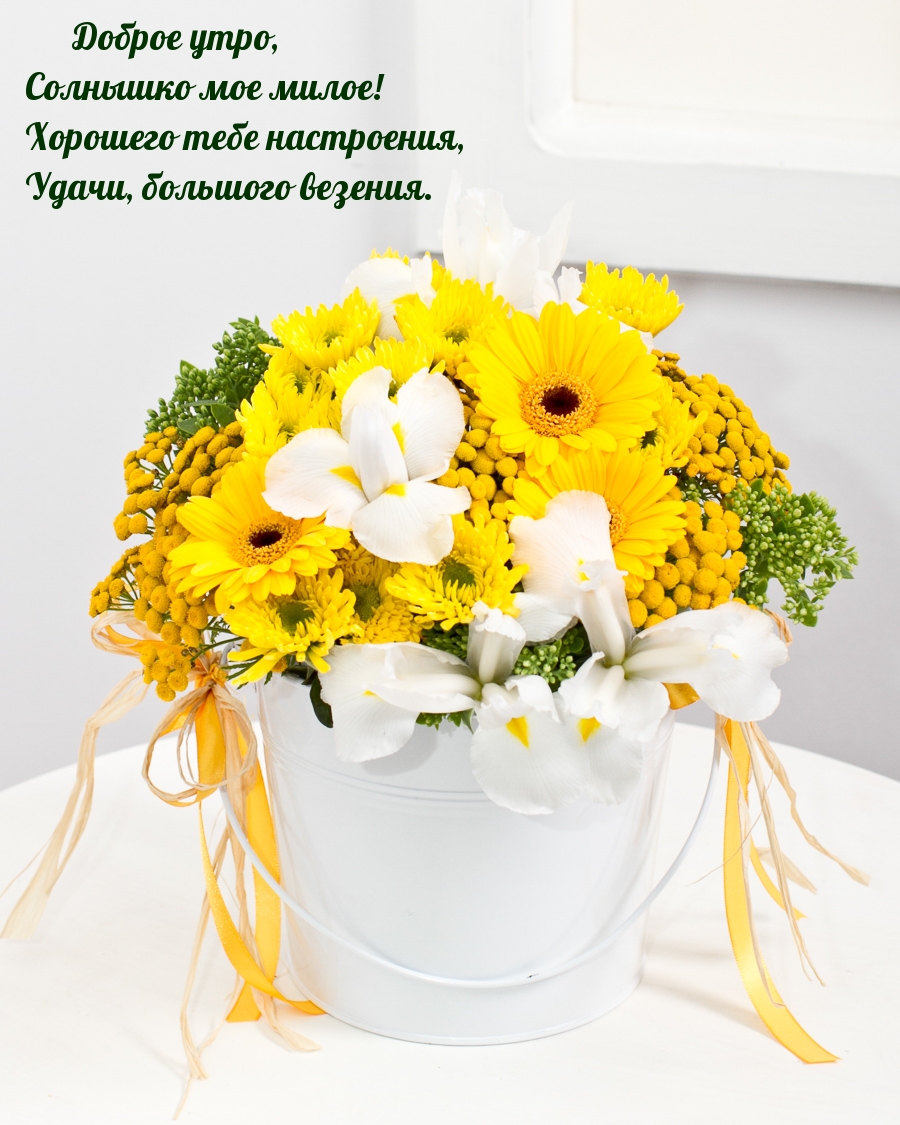 Доброе утро, солнышко мое милое!