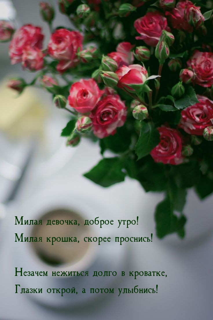 Милая девочка, доброе утро!