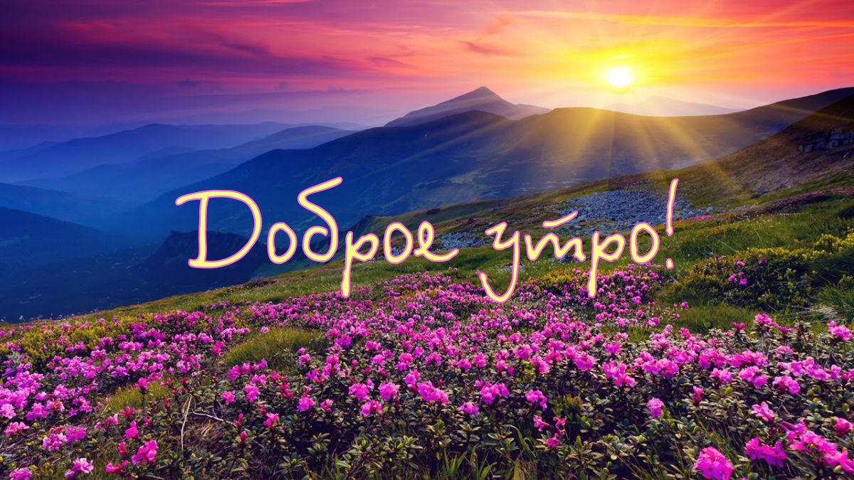 Доброе утро! Восход на природе