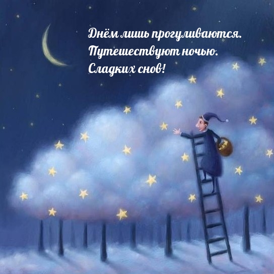 Путешествуют ночью. Сладких снов!