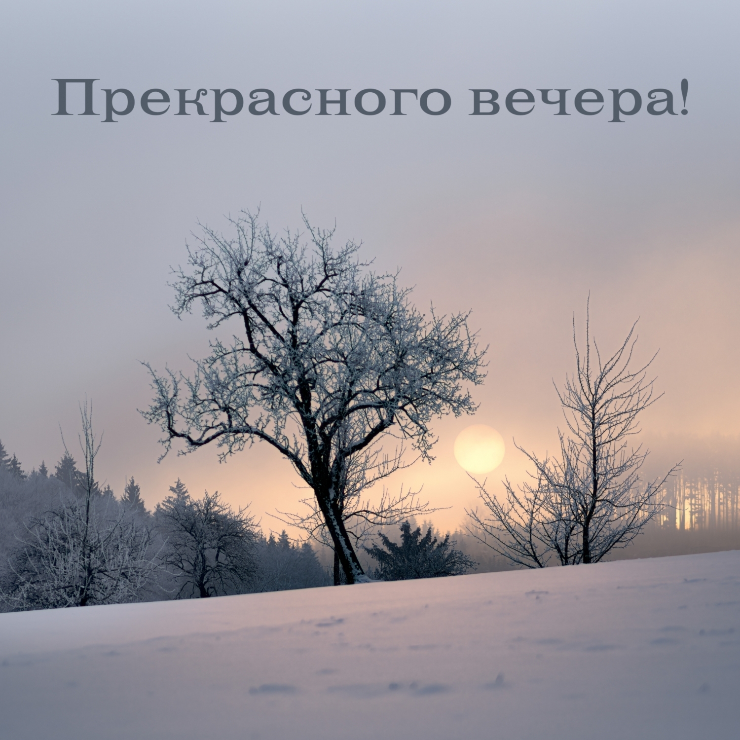 Прекрасного вечера!