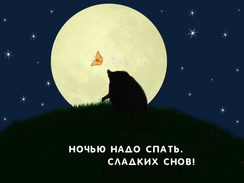 Ночью надо спать. Сладких снов!