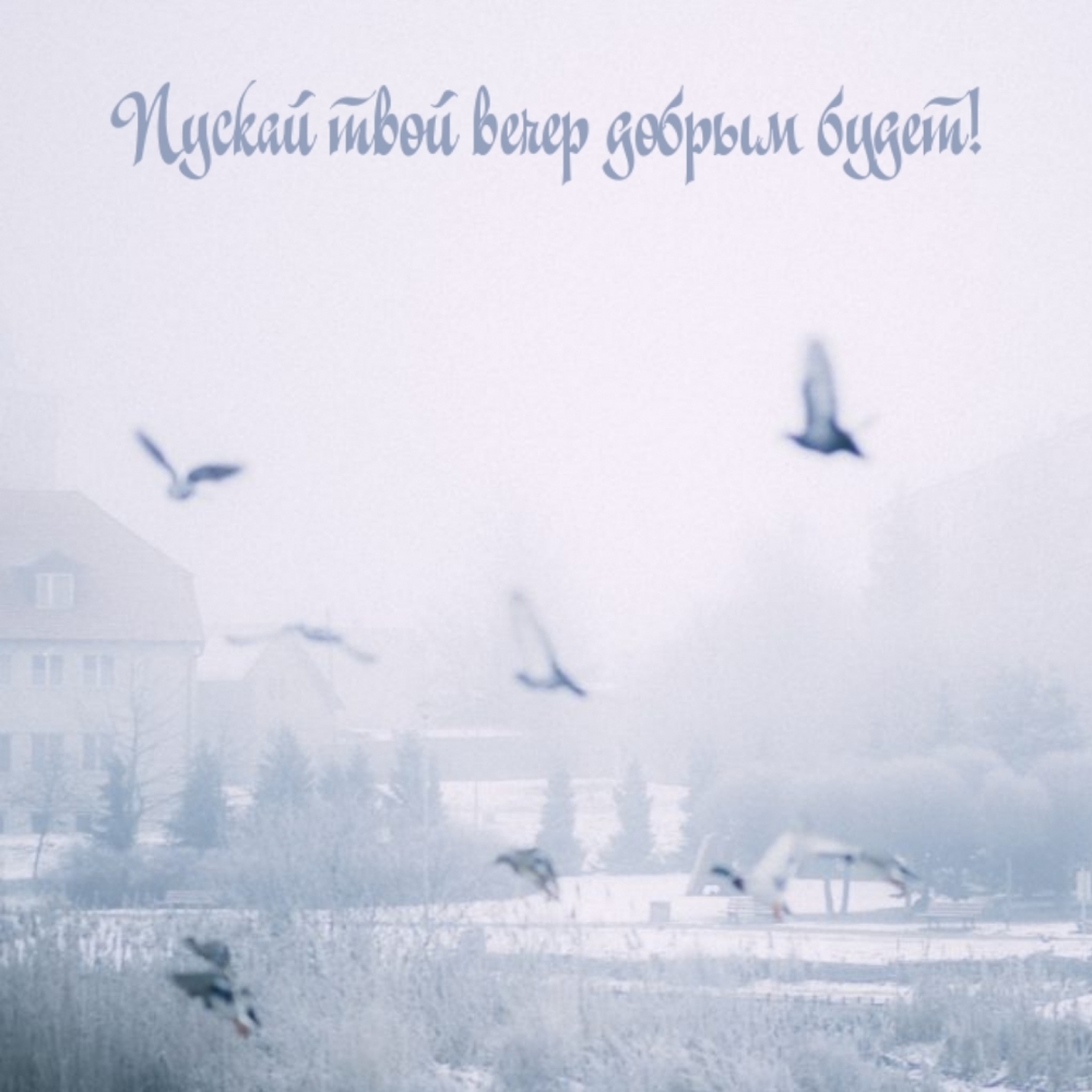 Пускай твой вечер добрым будет!