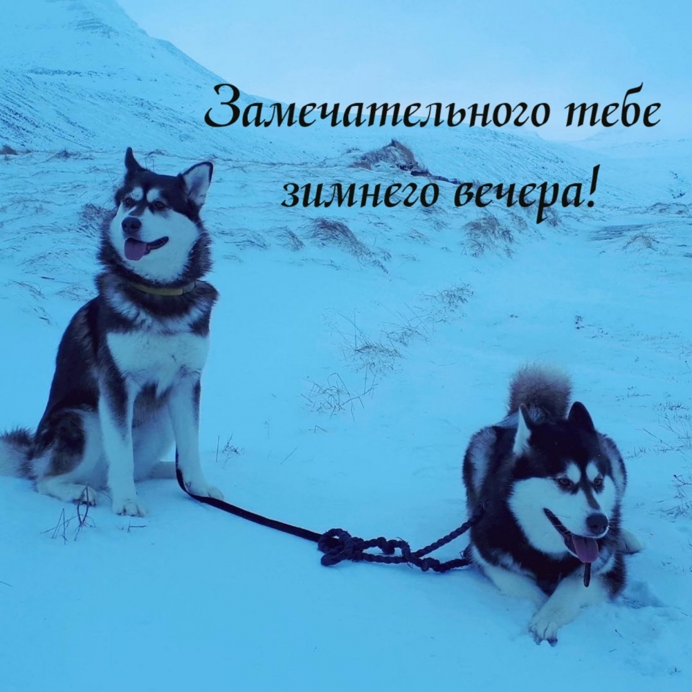 Замечательного тебе зимнего вечера!