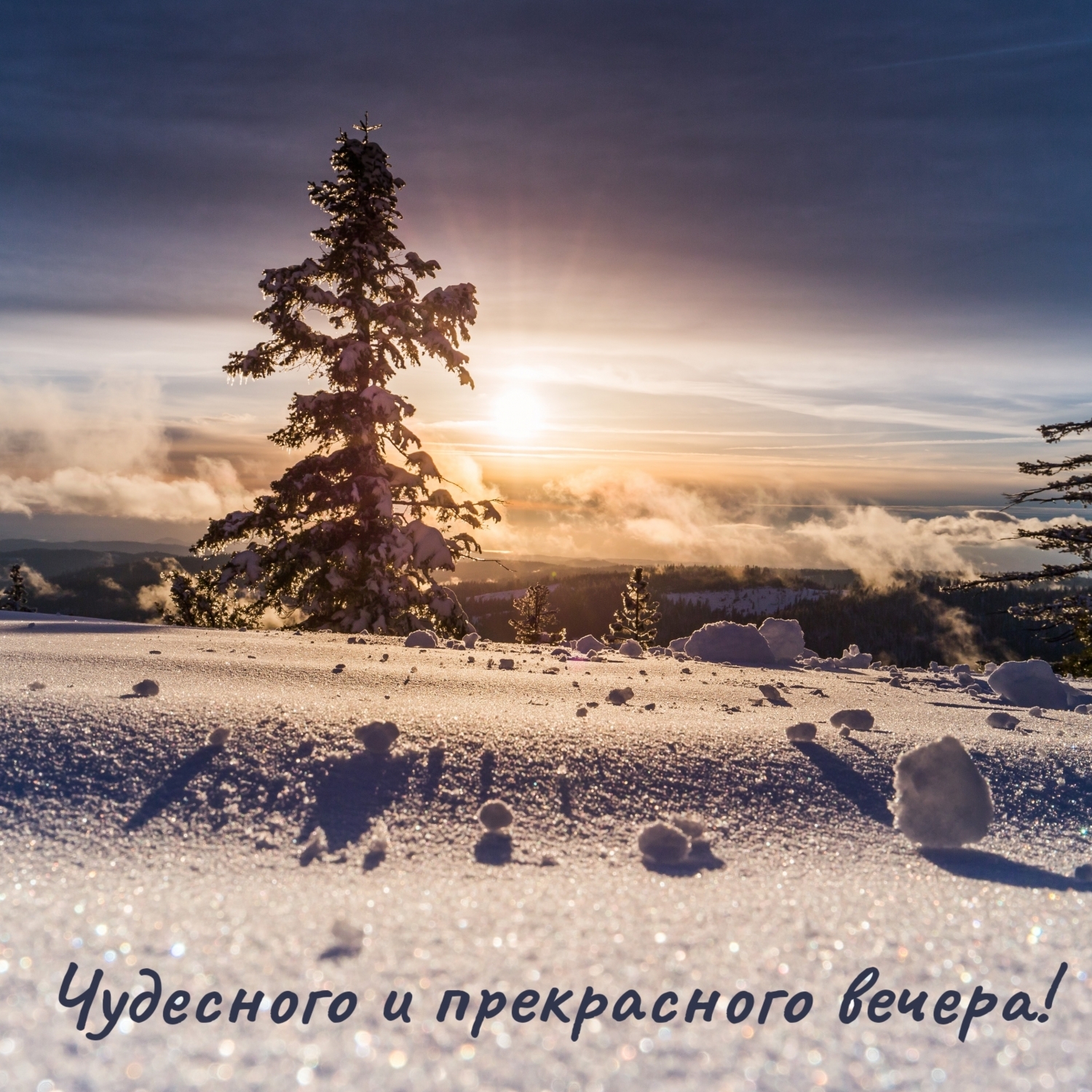 Чудесного и прекрасного вечера!