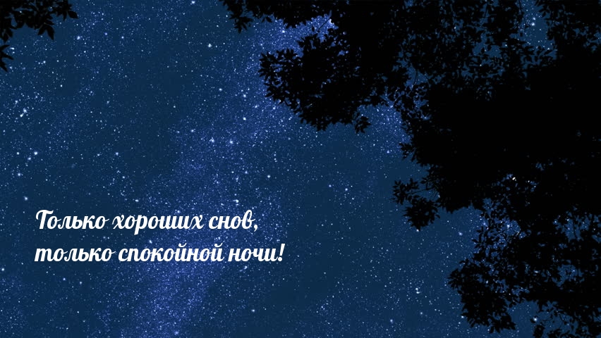 Только хороших снов, только спокойной ночи!