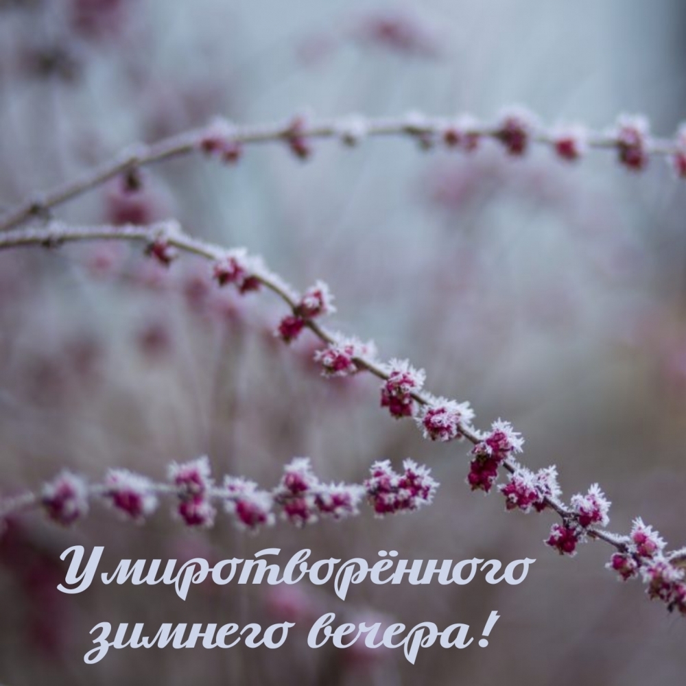 Умиротворённого зимнего вечера!