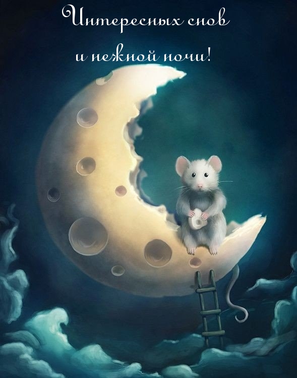 Интересных снов и нежной ночи!