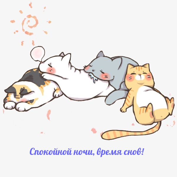 Спокойной ночи, время снов!