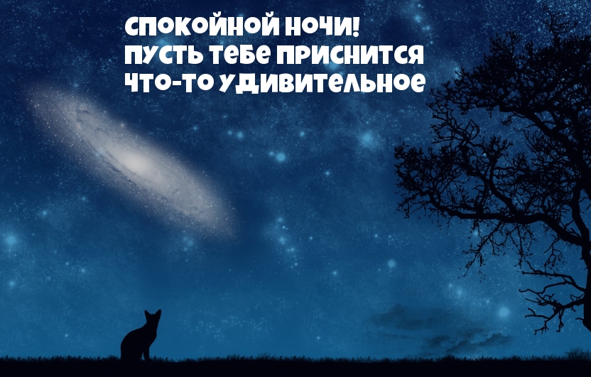 Пусть тебе приснится что-то удивительное