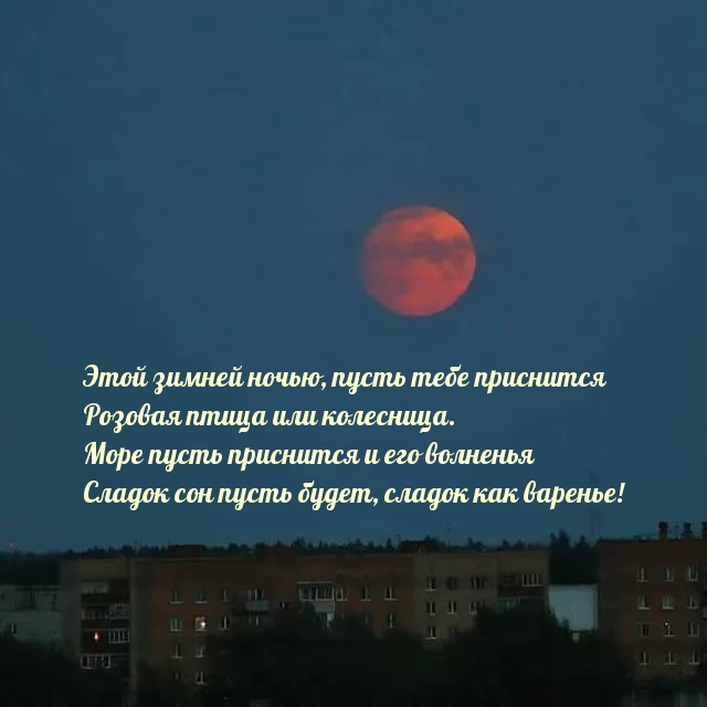 Этой зимней ночью, пусть тебе приснится розовая птица