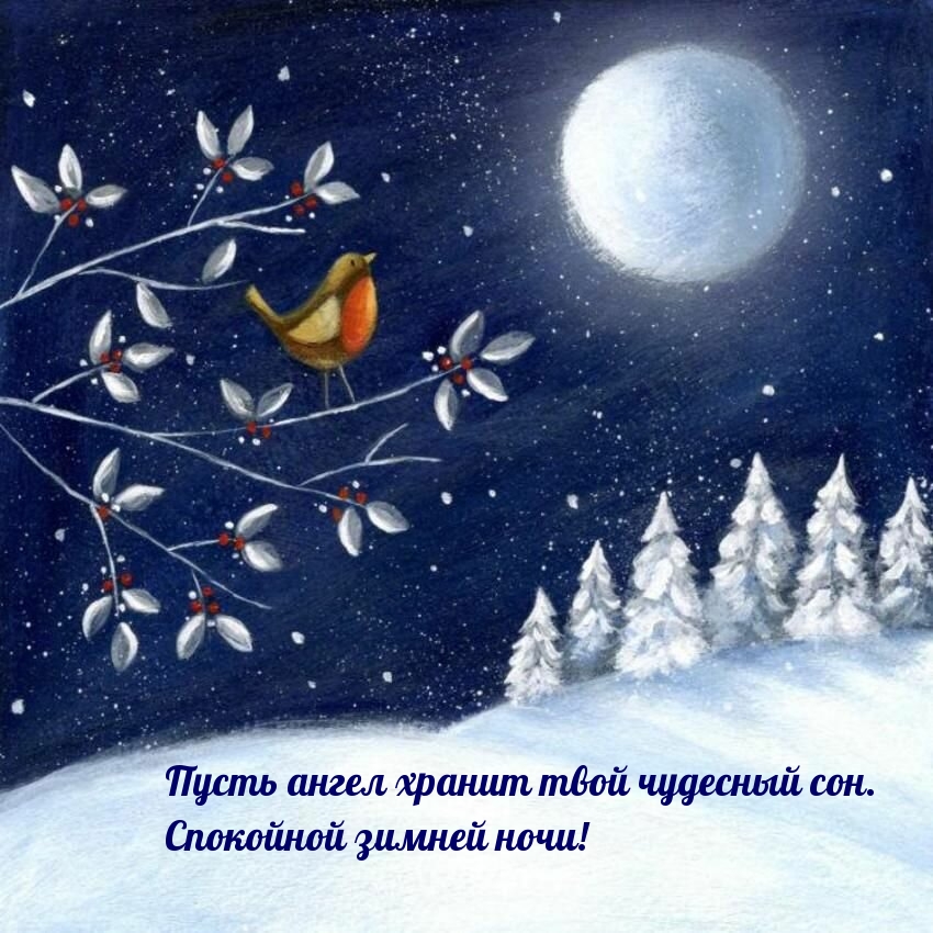 Пусть ангел хранит твой чудесный сон. Спокойной зимней ночи!