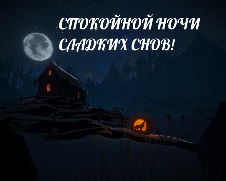 СПОКОЙНОЙ НОЧИ СЛАДКИХ СНОВ!