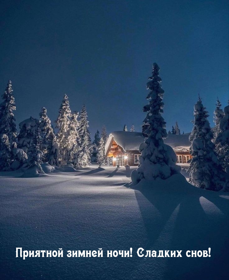 Приятной зимней ночи! Сладких снов!