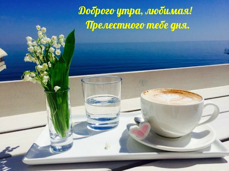 Доброго утра, любимая! Прелестного тебе дня.