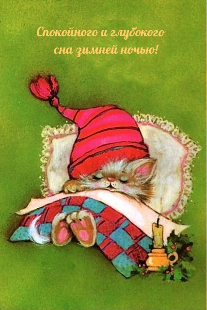 Спокойного и глубокого сна зимней ночью!