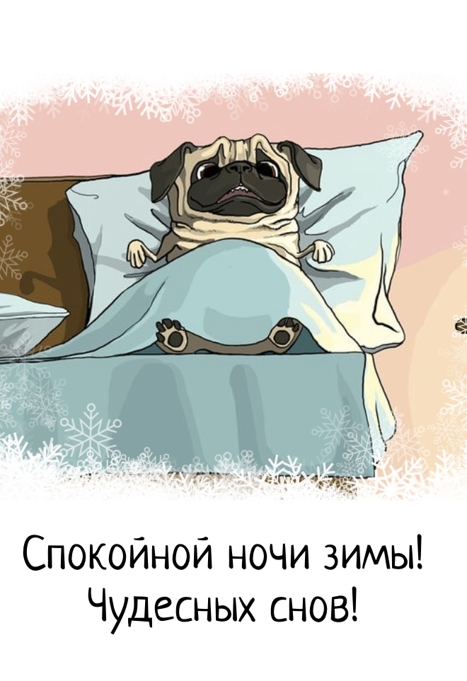 Спокойной ночи зимы! Чудесных снов!