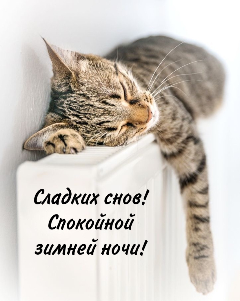 Сладких снов! Спокойной зимней ночи!