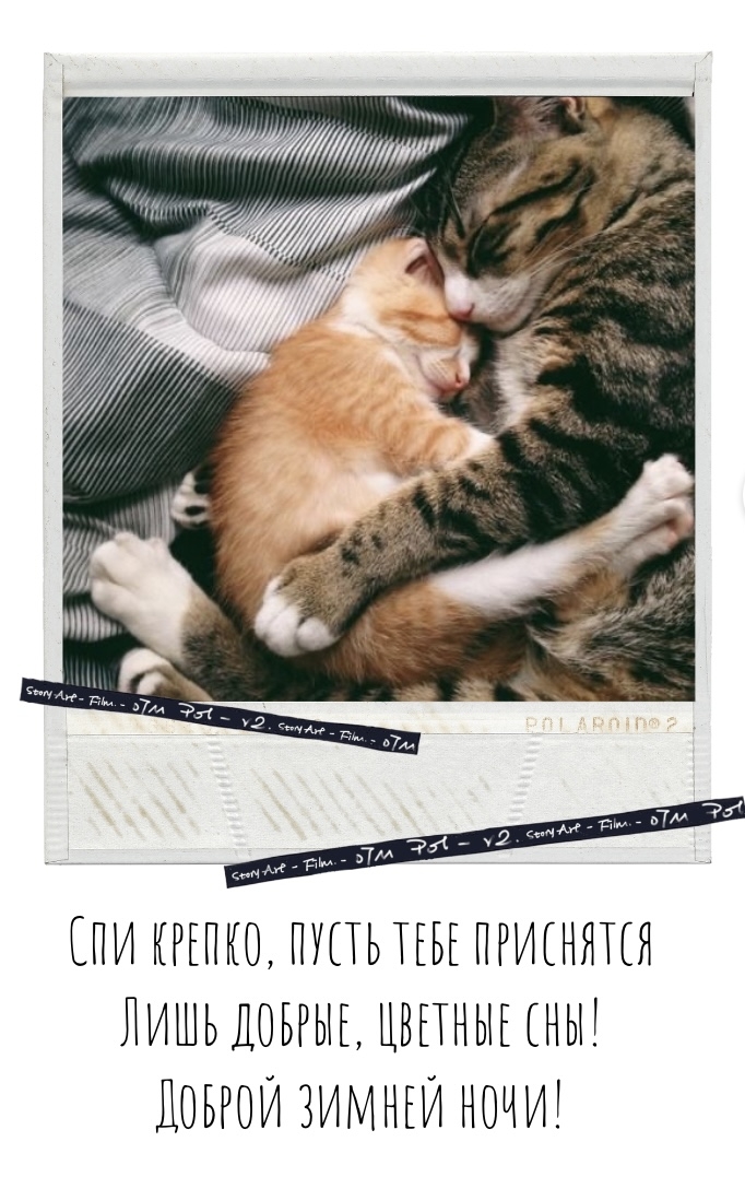 Доброй зимней ночи!