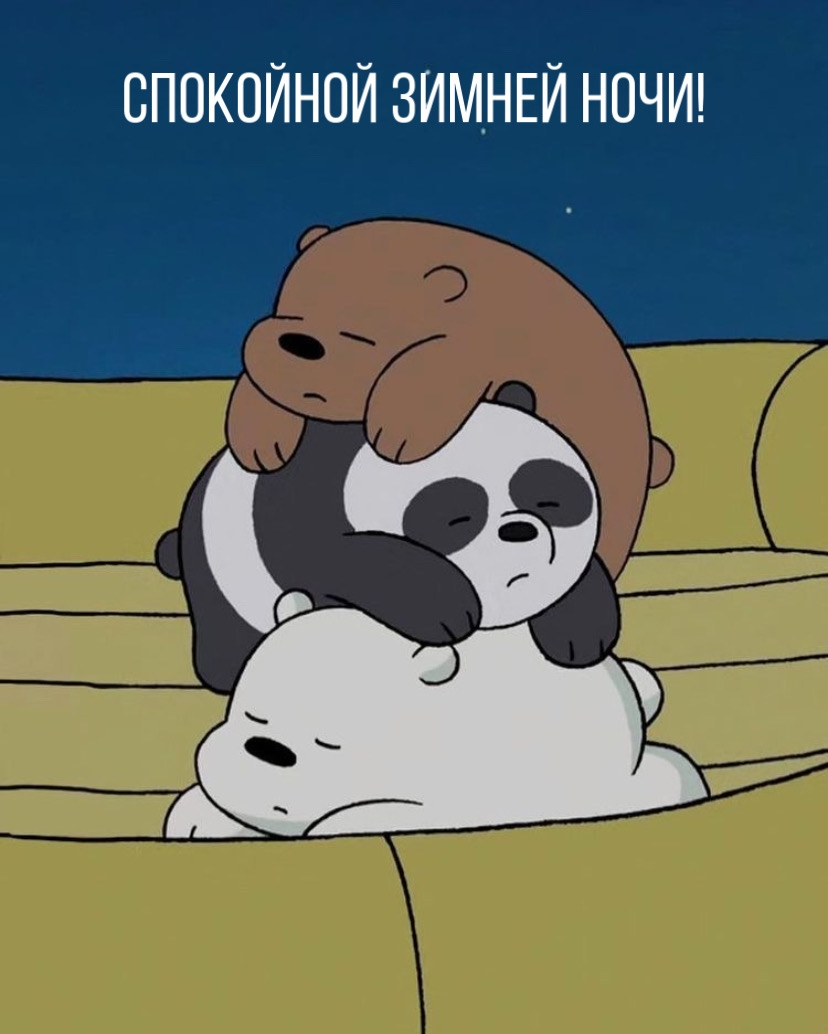 Спокойной зимней ночи!