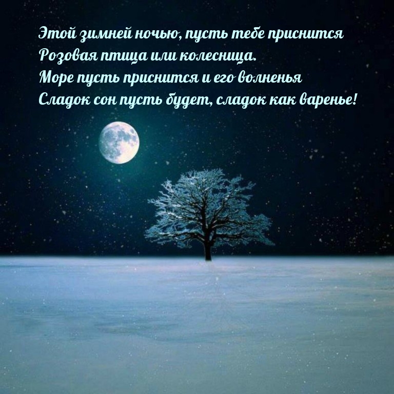 Этой зимней ночью, пусть тебе приснится розовая птица или колесница