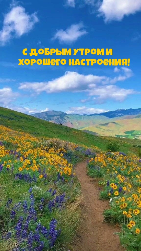 С добрым утром и хорошего настроения!