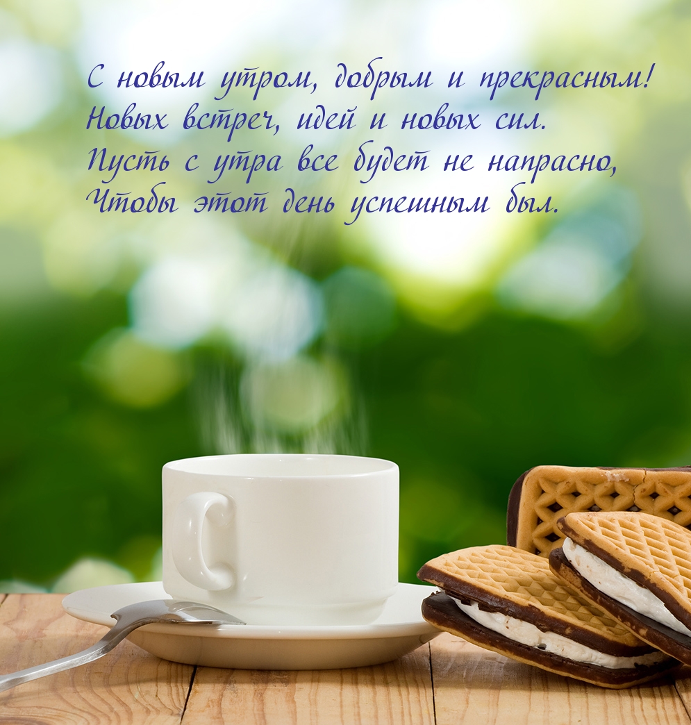 С новым утром, добрым и прекрасным!