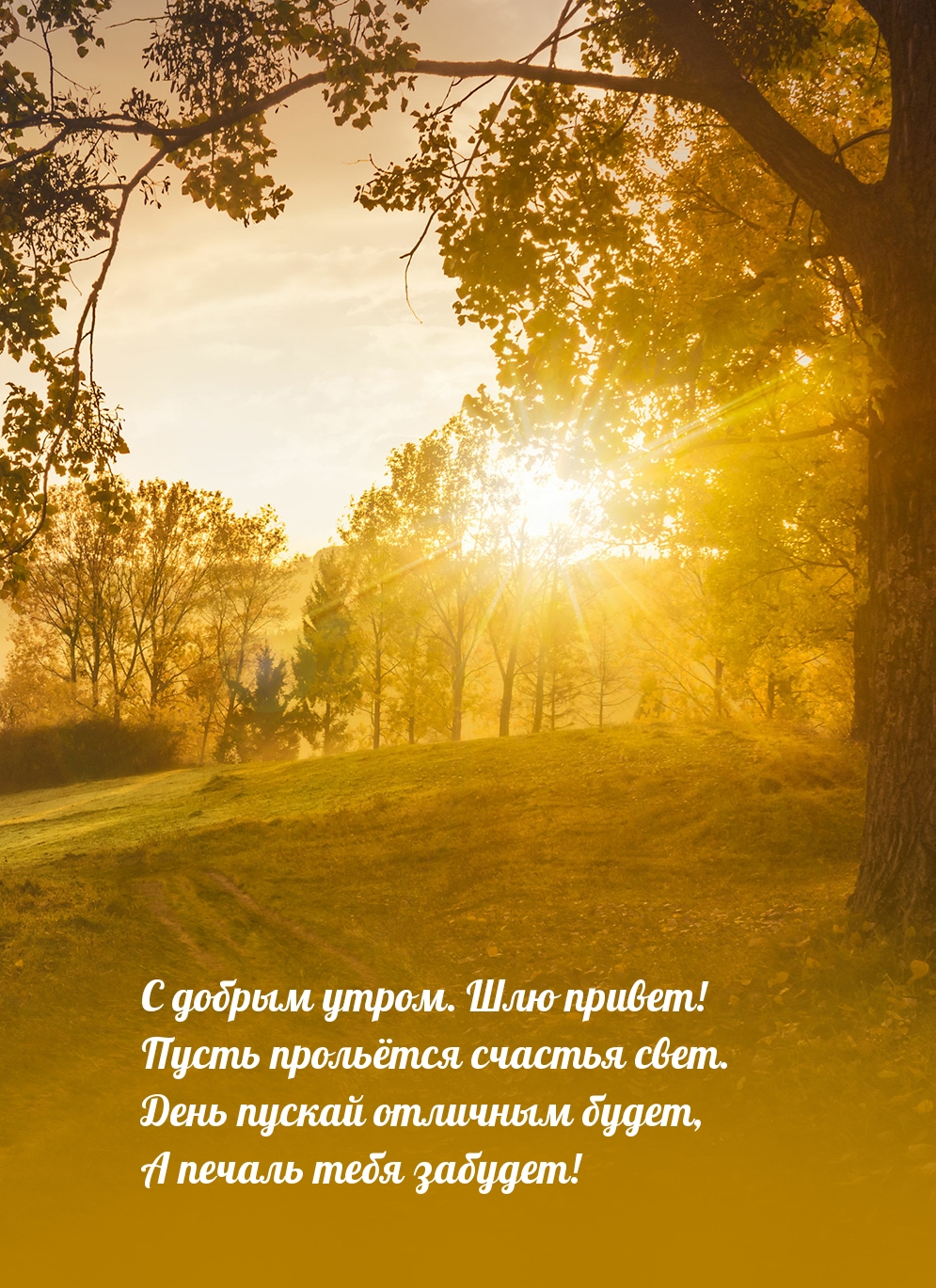 С добрым утром. Шлю привет! Пусть прольётся счастья свет.