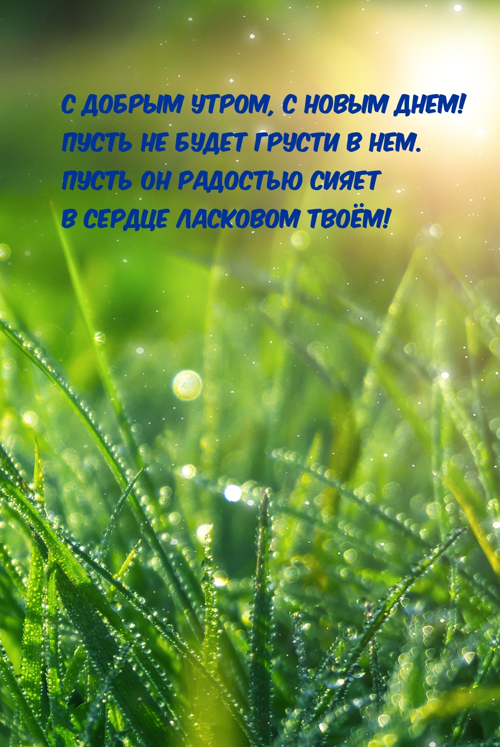 С добрым утром, с новым днем!